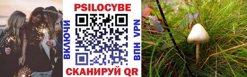 Галлюциногенные грибы Psilocybe наркотики Дагестанские Огни